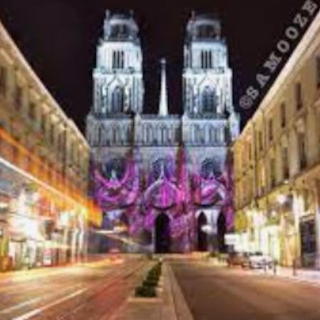 Chaleureux Appart, Proche De La Loire Avec Parking Орлеан Екстер'єр фото